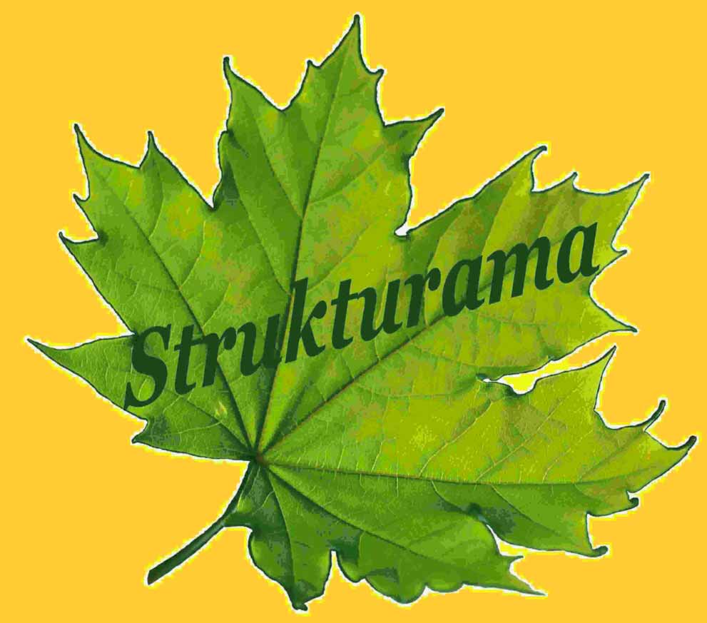 Tagesst&auml;tte f&uuml;r Erwachsene Belp